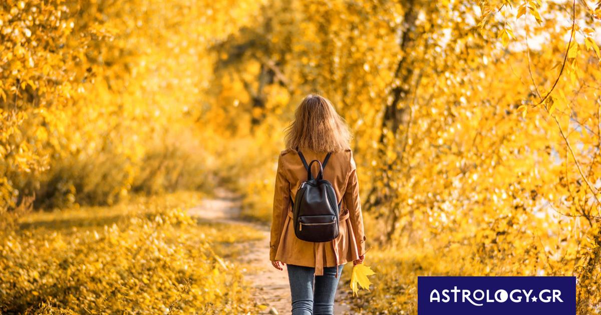 Ημερήσιες Προβλέψεις για όλα τα Ζώδια, 07/11: Ρεαλιστικές και πρακτικές εφαρμογές