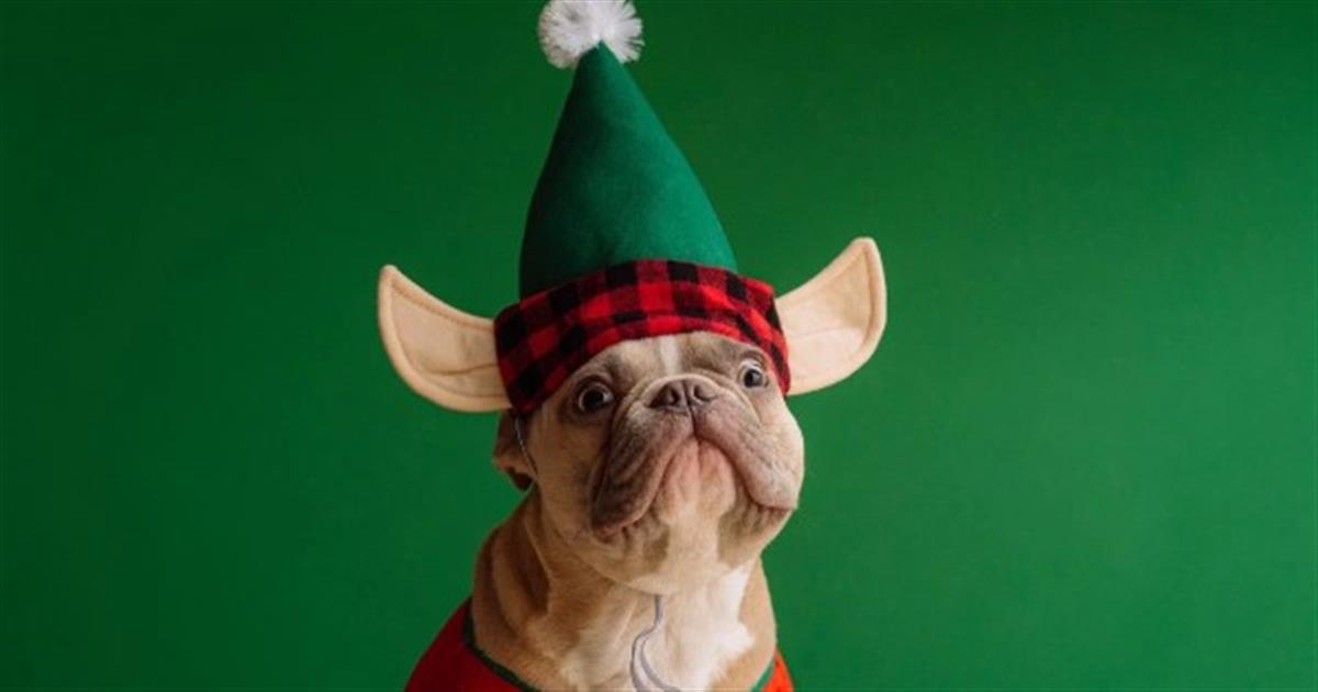 «Μέχρι τις 04/01/2024…» – Γι’ αυτά τα ζώδια το νέο έτος φέρνει τα πάνω κάτω