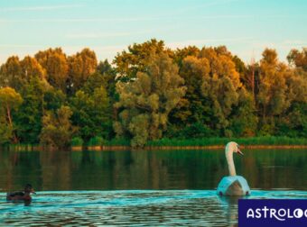 Διάβασε ΔΩΡΕΑΝ την προσωπική σου πρόβλεψη, για σήμερα 02/11/2023