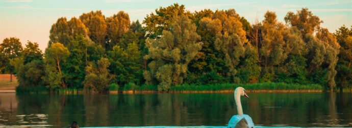 Διάβασε ΔΩΡΕΑΝ την προσωπική σου πρόβλεψη, για σήμερα 02/11/2023