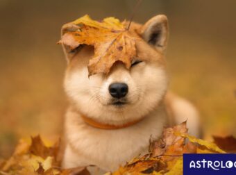 Διάβασε ΔΩΡΕΑΝ την προσωπική σου πρόβλεψη, για σήμερα 04/11/2023
