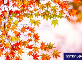 Διάβασε ΔΩΡΕΑΝ την προσωπική σου πρόβλεψη, για σήμερα 05/11/2023