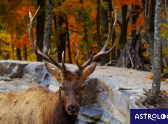 Διάβασε ΔΩΡΕΑΝ την προσωπική σου πρόβλεψη, για σήμερα 06/11/2023