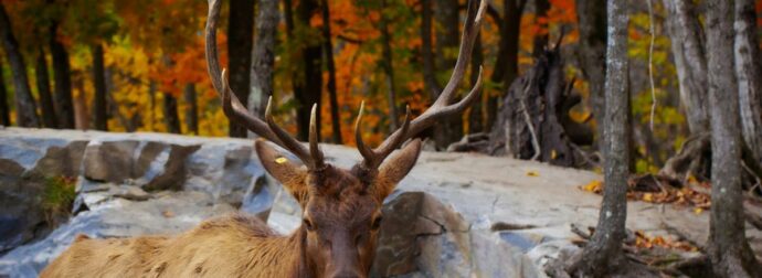 Διάβασε ΔΩΡΕΑΝ την προσωπική σου πρόβλεψη, για σήμερα 06/11/2023