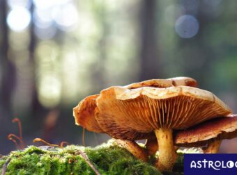 Διάβασε ΔΩΡΕΑΝ την προσωπική σου πρόβλεψη, για σήμερα 07/11/2023