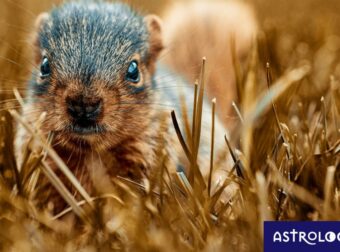 Διάβασε ΔΩΡΕΑΝ την προσωπική σου πρόβλεψη, για σήμερα 08/11/2023