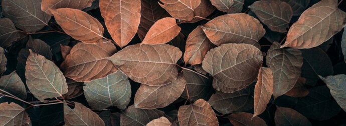 Διάβασε ΔΩΡΕΑΝ την προσωπική σου πρόβλεψη, για σήμερα 09/11/2023