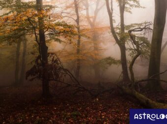Διάβασε ΔΩΡΕΑΝ την προσωπική σου πρόβλεψη, για σήμερα 13/11/2023
