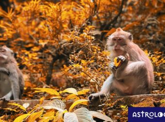 Διάβασε ΔΩΡΕΑΝ την προσωπική σου πρόβλεψη, για σήμερα 14/11/2023