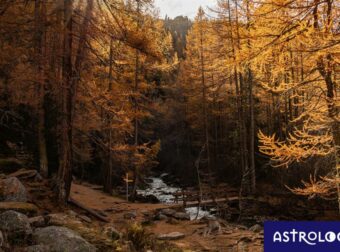 Διάβασε ΔΩΡΕΑΝ την προσωπική σου πρόβλεψη, για σήμερα 17/11/2023