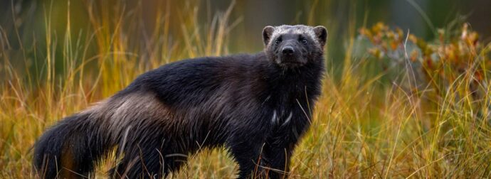 Διάβασε ΔΩΡΕΑΝ την προσωπική σου πρόβλεψη, για σήμερα 18/11/2023