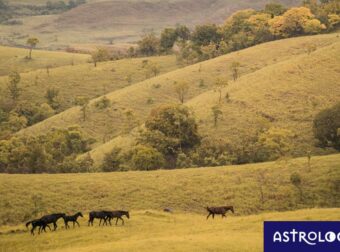 Διάβασε ΔΩΡΕΑΝ την προσωπική σου πρόβλεψη, για σήμερα 20/11/2023