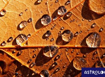 Διάβασε ΔΩΡΕΑΝ την προσωπική σου πρόβλεψη, για σήμερα 21/11/2023