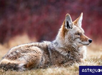 Διάβασε ΔΩΡΕΑΝ την προσωπική σου πρόβλεψη, για σήμερα 22/11/2023