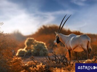 Διάβασε ΔΩΡΕΑΝ την προσωπική σου πρόβλεψη, για σήμερα 24/11/2023