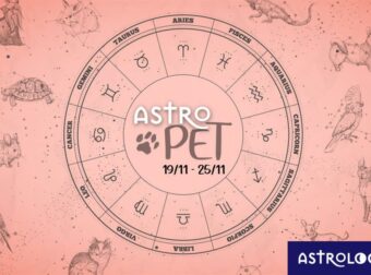 AstroPet από 19/11 έως 25/11: Εβδομαδιαίες προβλέψεις για το κατοικίδιό σου