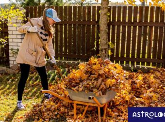 Ημερήσιες Προβλέψεις για όλα τα Ζώδια, 11/11: Ανεξέλεγκτες αντιδράσεις
