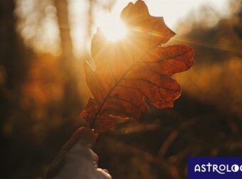 Ημερήσιες Προβλέψεις για όλα τα Ζώδια, 16/11: Προσοχή στις εξαπατήσεις