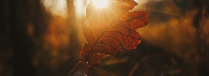 Ημερήσιες Προβλέψεις για όλα τα Ζώδια, 16/11: Προσοχή στις εξαπατήσεις