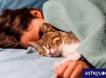 Ζώδια Σήμερα 02/11: Ανάγκη για προστασία και κατανόηση