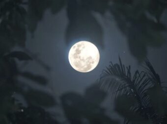 Πανσέληνος στον Ταύρο: Πρέπει να προσέχουν οι Σκορπιοί κι άλλα 3 ζώδια