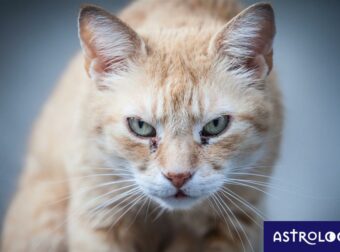 Δύο ζώδια που θα είναι μέσα στην ένταση και τα νεύρα σήμερα, 05/11