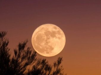 Magic Fariel: «Η εβδομάδα ξεκινάει με τη Νέα Σελήνη στον Σκορπιό…» – Τα 4 ζώδια που επηρεάζονται