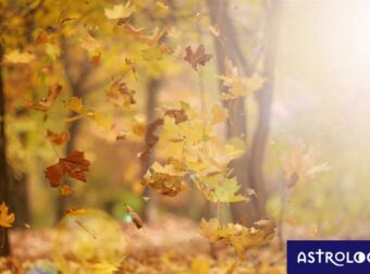 Ζώδια Σήμερα 01/11: Ξέχνα και κάτι…