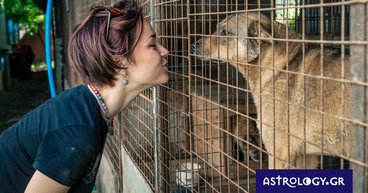 Τρία ζώδια που θα έκαναν εθελοντική εργασία για να ξεπεράσουν ένα χωρισμό