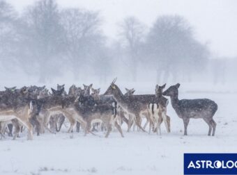 Διάβασε ΔΩΡΕΑΝ την προσωπική σου πρόβλεψη, για σήμερα 15/12/2023