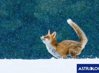Διάβασε ΔΩΡΕΑΝ την προσωπική σου πρόβλεψη, για σήμερα 17/12/2023