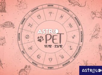 AstroPet από 17/12 έως 23/12: Εβδομαδιαίες προβλέψεις για το κατοικίδιό σου