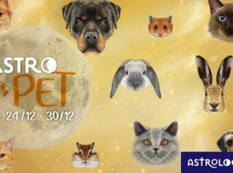 AstroPet από 24/12 έως 30/12: Εβδομαδιαίες προβλέψεις για το κατοικίδιό σου