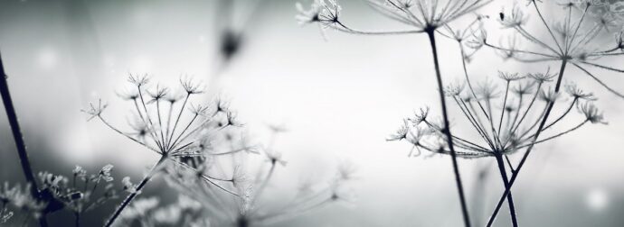 Διάβασε ΔΩΡΕΑΝ την προσωπική σου πρόβλεψη, για σήμερα 12/12/2023