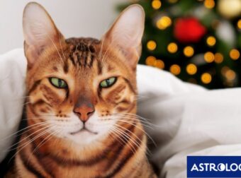 Δύο ζώδια που θα είναι… αλλού, σήμερα, 26/12