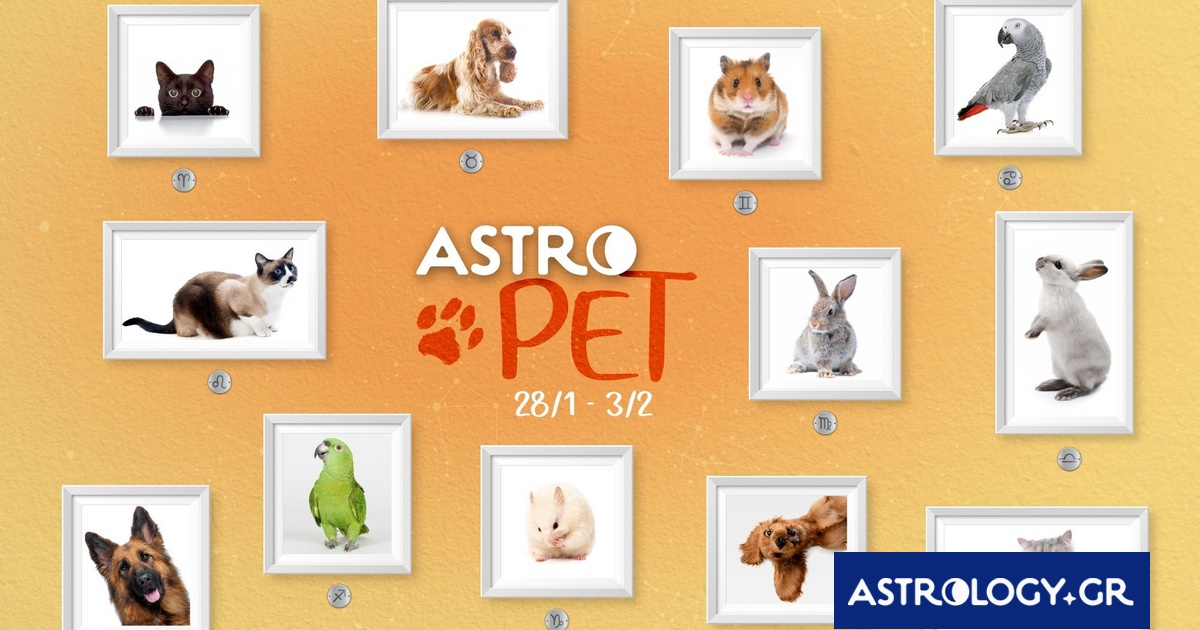 AstroPet από 28/01 έως 03/02: Εβδομαδιαίες προβλέψεις για το κατοικίδιό σου