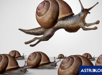Μην υποτιμάς αυτά τα ζώδια, γιατί μπορούν να σε αφήσουν με το στόμα ανοιχτό