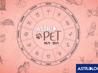 AstroPet από 14/01 έως 20/01: Εβδομαδιαίες προβλέψεις για το κατοικίδιό σου