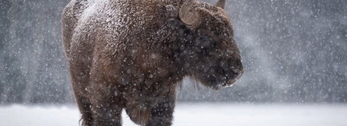 Διάβασε ΔΩΡΕΑΝ την προσωπική σου πρόβλεψη, για σήμερα 04/01/2024