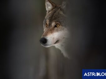 Διάβασε ΔΩΡΕΑΝ την προσωπική σου πρόβλεψη, για σήμερα 30/01/2024