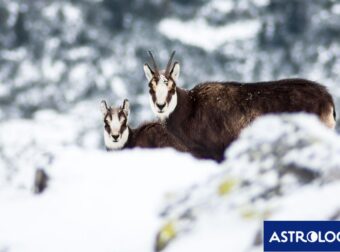 Διάβασε ΔΩΡΕΑΝ την προσωπική σου πρόβλεψη, για σήμερα 28/01/2024