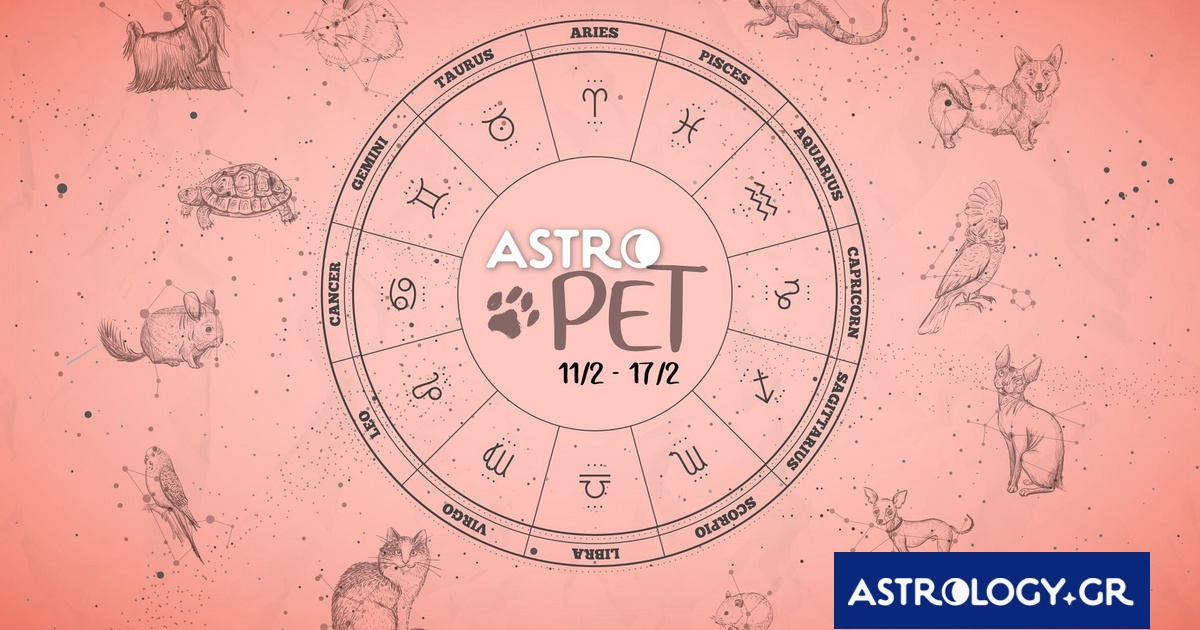 AstroPet από 11/02 έως 17/02: Εβδομαδιαίες προβλέψεις για το κατοικίδιό σου