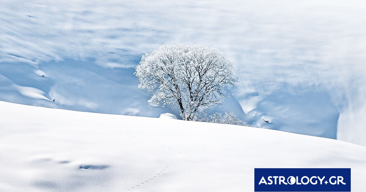 Διάβασε ΔΩΡΕΑΝ την προσωπική σου πρόβλεψη, για σήμερα 25/02/2024