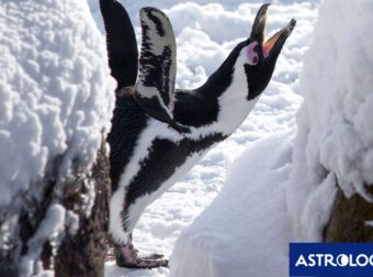 Διάβασε ΔΩΡΕΑΝ την προσωπική σου πρόβλεψη, για σήμερα 27/02/2024