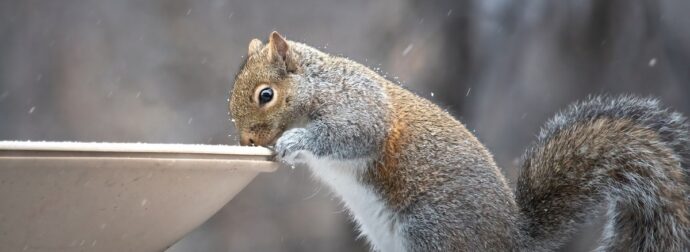 Διάβασε ΔΩΡΕΑΝ την προσωπική σου πρόβλεψη, για σήμερα 12/02/2024