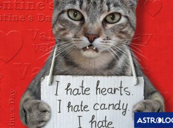 Αυτά τα ζώδια σιχαίνονται ό,τι έχει σχέση με την ημέρα του Αγ. Βαλεντίνου