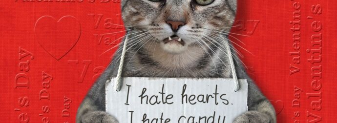 Αυτά τα ζώδια σιχαίνονται ό,τι έχει σχέση με την ημέρα του Αγ. Βαλεντίνου