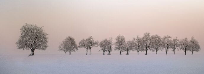 Διάβασε ΔΩΡΕΑΝ την προσωπική σου πρόβλεψη, για σήμερα 15/02/2024