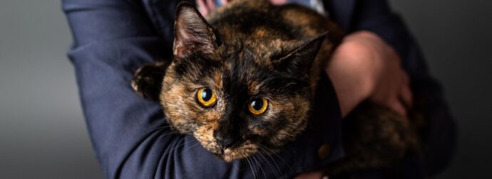 Τα φιλόζωα ζώδια που θα άνοιγαν το σπίτι τους για να φιλοξενήσουν αδέσποτα