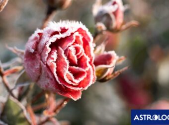 Διάβασε ΔΩΡΕΑΝ την προσωπική σου πρόβλεψη, για σήμερα 28/02/2024